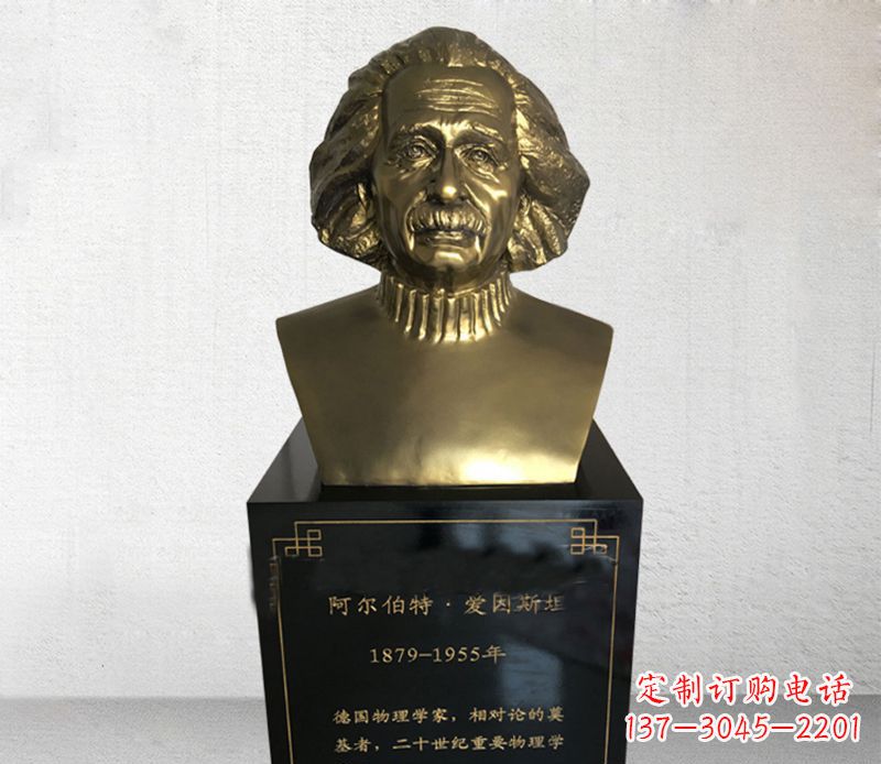 云南爱因斯坦胸像铜雕