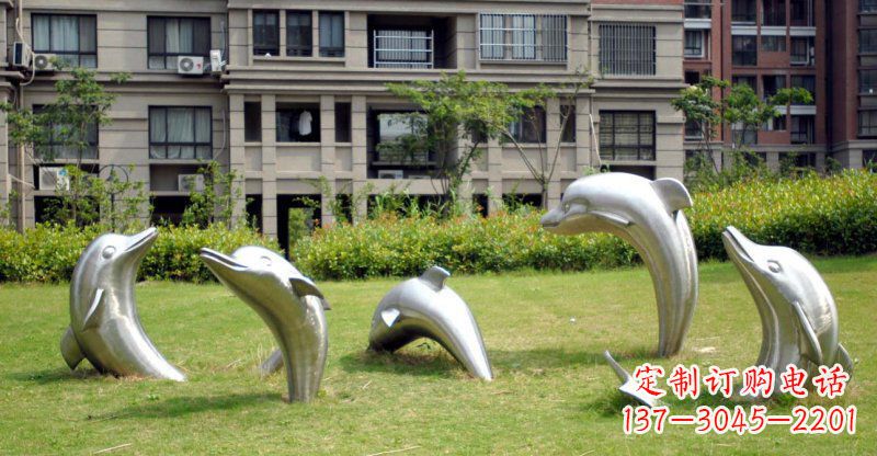 云南海豚的浪漫