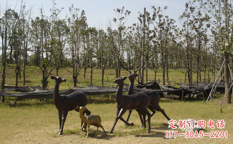 云南公园梅花鹿动物铜雕 (4)