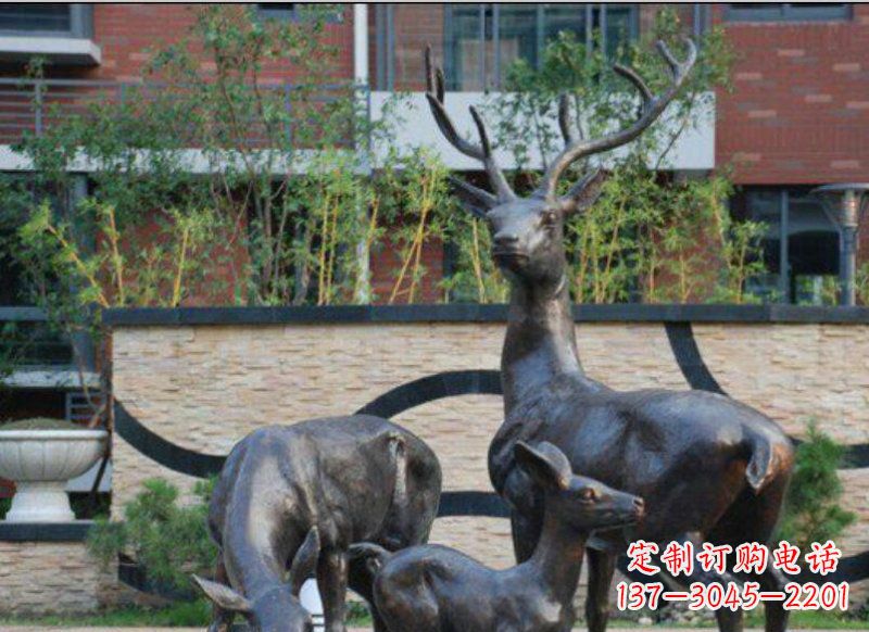 云南古雅优雅的梅花鹿铜雕