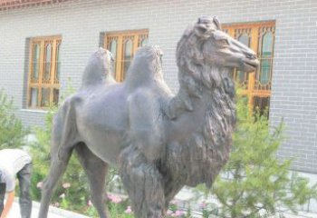 云南精美的骆驼铜雕，提升您的公园气质